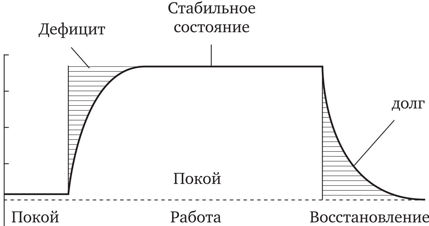             Алгоритм и прототип компьютерной программы для оперативного определения анаэробной дозы физической нагрузки на основе данных пульсометрии
    