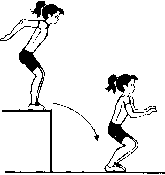             Методика контроля функционального состояния  опорно-двигательного аппарата скалолазов дисциплины  «скорость» на основе кинематического анализа  характеристик прыжка: применение светодиодных  технологий
    