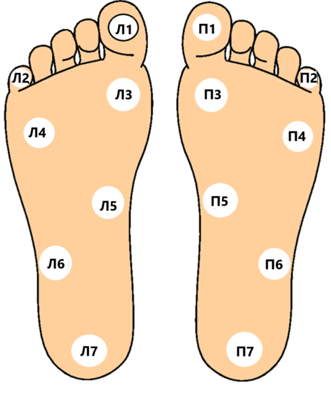                         The higher tactile sensitivity of the sole in athletes helps to increase the postural stability in difficult sensory conditions
            