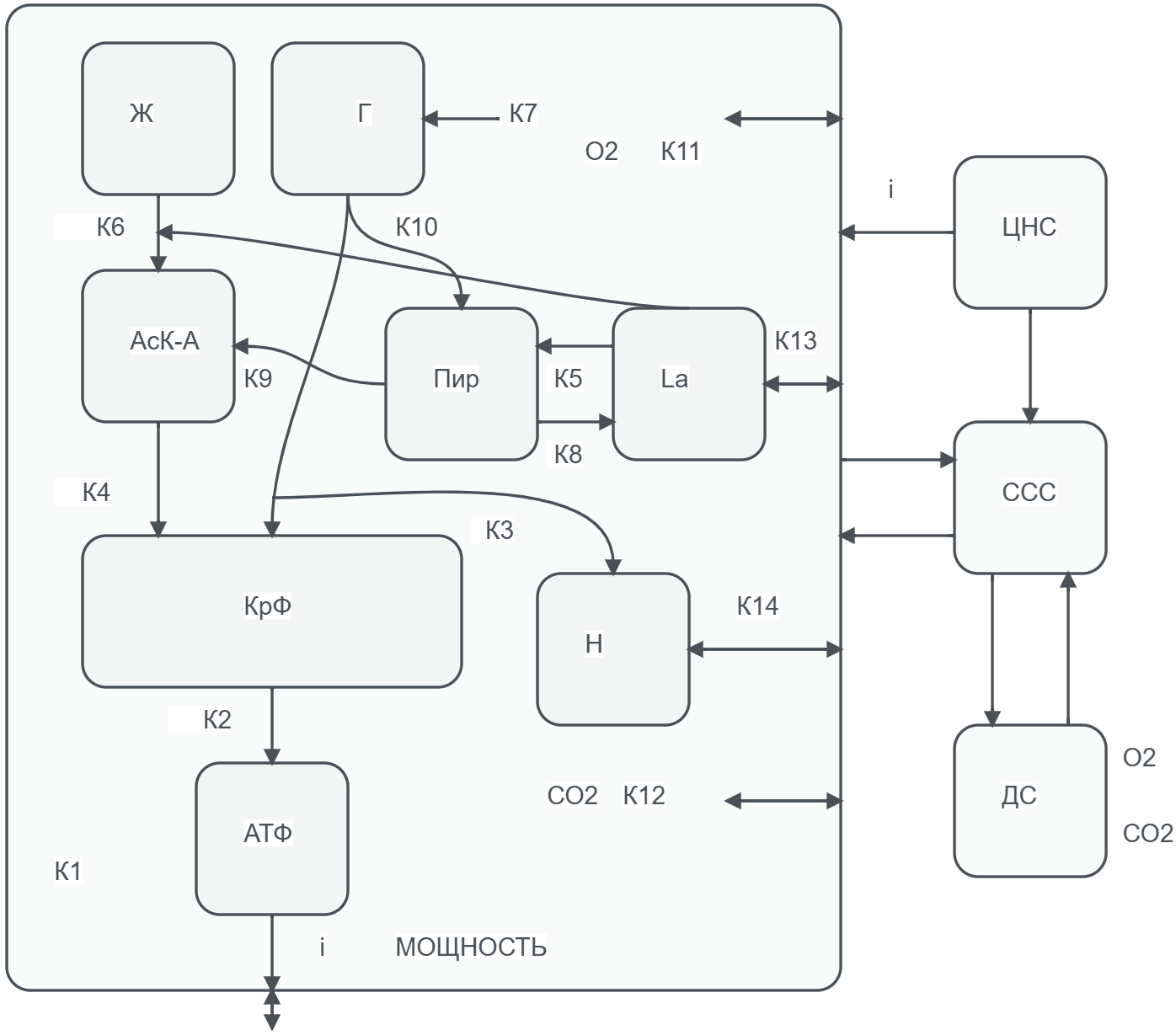             На пути к математической теории спортивной тренировки. Часть 2. Математическое моделирование процессов адаптации при воздействии тренировочных нагрузок: подход Виктора Николаевича Селуянова
    